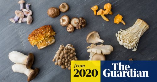 Cup runneth over: 17 ways to cook mushrooms – from spiced rice to pasta with prosciutto