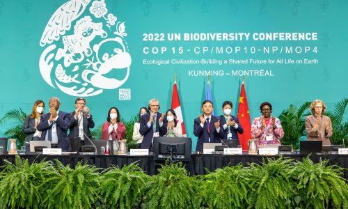 Cop15: historic deal struck to halt biodiversity loss by 2030
