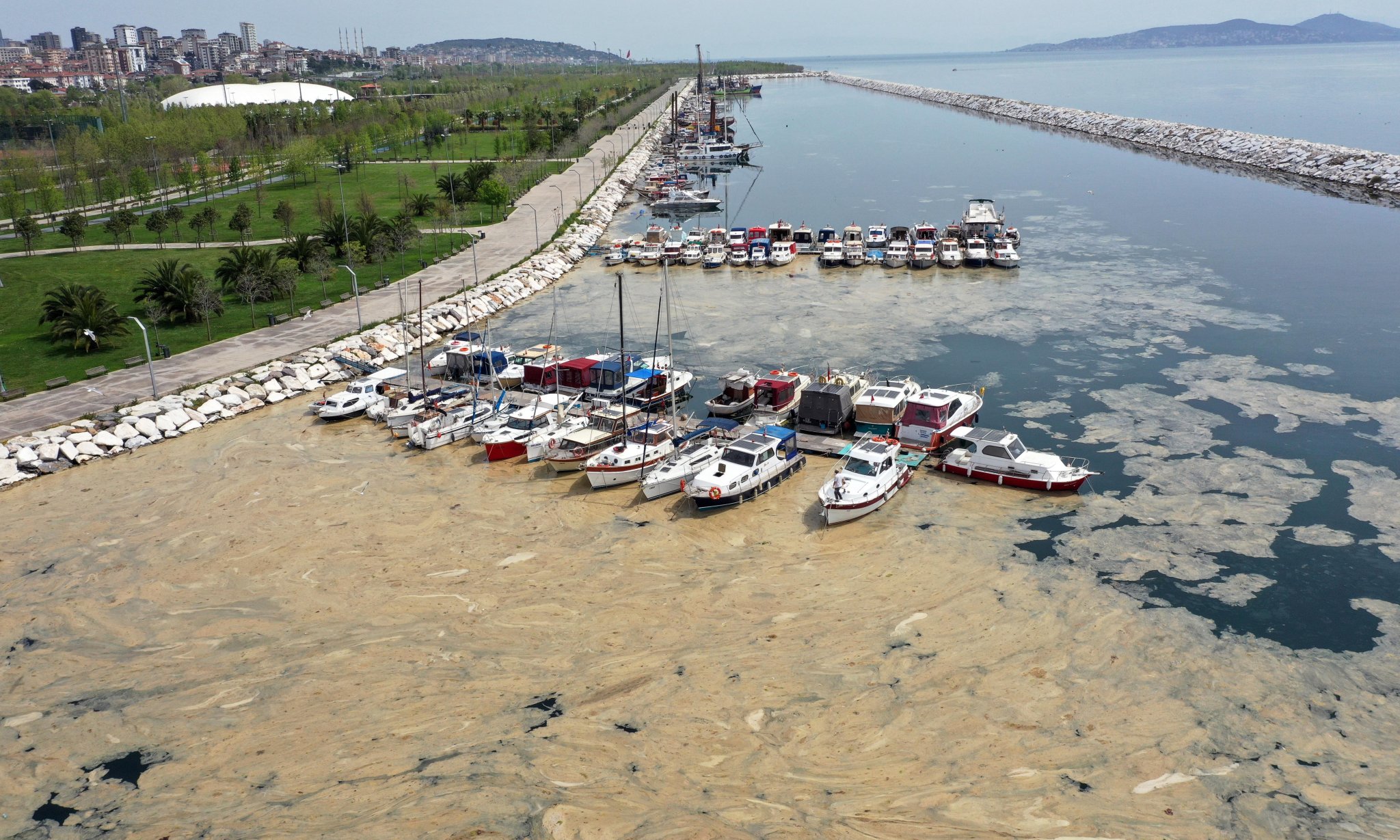 Turkey struck by ‘sea snot’ because of global heating