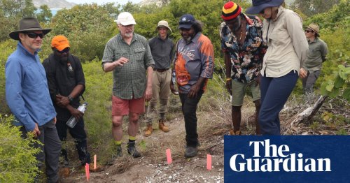 Great Barrier Reef discovery overturns belief Aboriginal Australians did not make pottery, archaeologists say