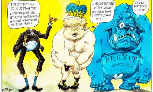 The Covid public inquiry: nothing to see here – cartoon