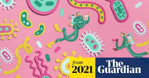 Unlocking the ‘gut microbiome’ – and its massive significance to our health