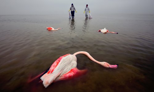 Environmental photographer of the year 2022 – in pictures