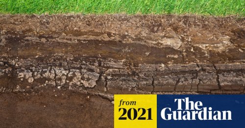 ‘A poor man’s rainforest’: why we need to stop treating soil like dirt