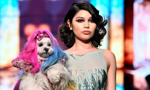 Rainbow fur, £10,000 ballgowns and hounds in hats: inside LA’s canine couture show