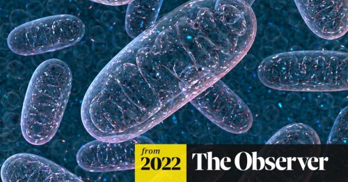 Can our mitochondria help to beat long Covid?