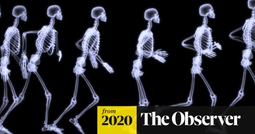 Does the key to anti-ageing lie in our bones?
