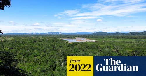 Unchecked deforestation destroying evidence of lost Amazon civilisation