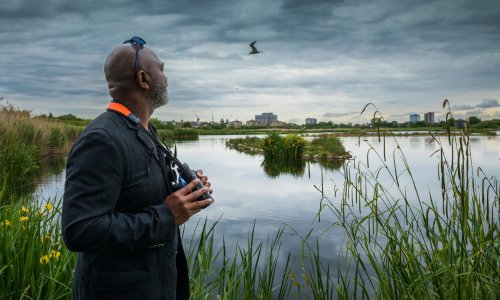 Urban wetlands ‘could improve wellbeing in deprived UK areas’