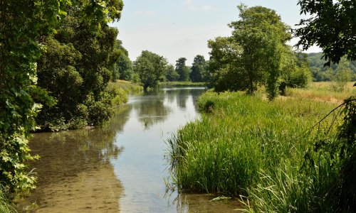 The battle to save England’s chalk streams, one of the planet’s rarest ...