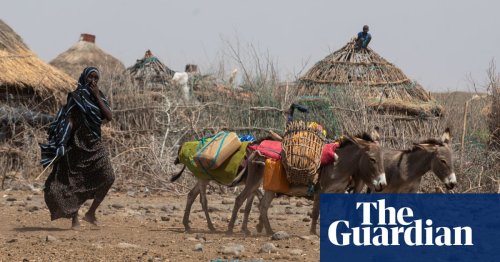 We must act on Ethiopia food crisis, says UK minister