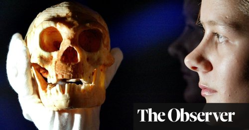 Where did they all go? How Homo sapiens became the last human species left