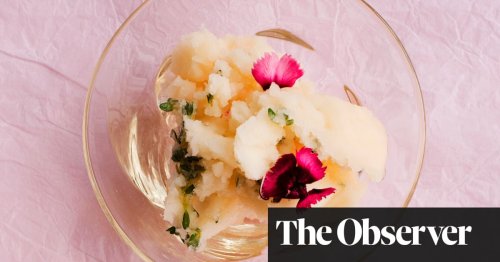 Nigel Slater’s lemon thyme water ice, roast apricot sorbet and pistachio cookie recipes