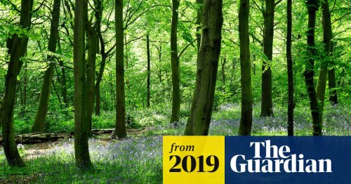 Two-hour ‘dose’ of nature significantly boosts health – study