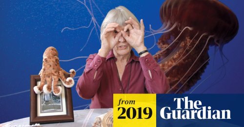Feminist cyborg scholar Donna Haraway: ‘The disorder of our era isn’t necessary’