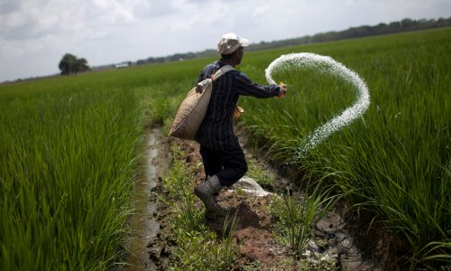 Farming mega-mergers threaten food security, say campaigners