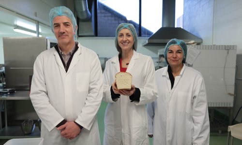 Setting pulses racing: the Reading scientists perfecting broad bean bread