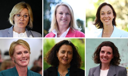 Teal independents: who are they and how did they upend Australia’s election?