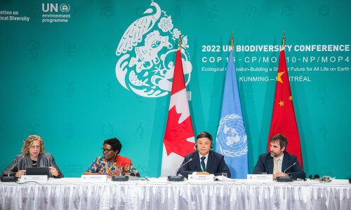 Canada leads calls for 30% for nature target as