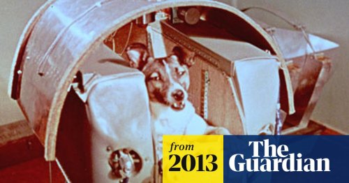 Animal astronauts: the unsung heroes of space exploration