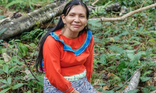 'Ayahuasca is changing global environmental consciousness'