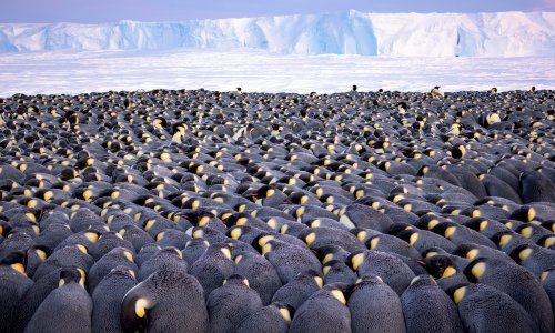 Top 10 polar photobooks