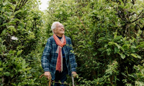 ‘Be as diverse as possible!’: a gardening pioneer’s guide to growing on a warming planet