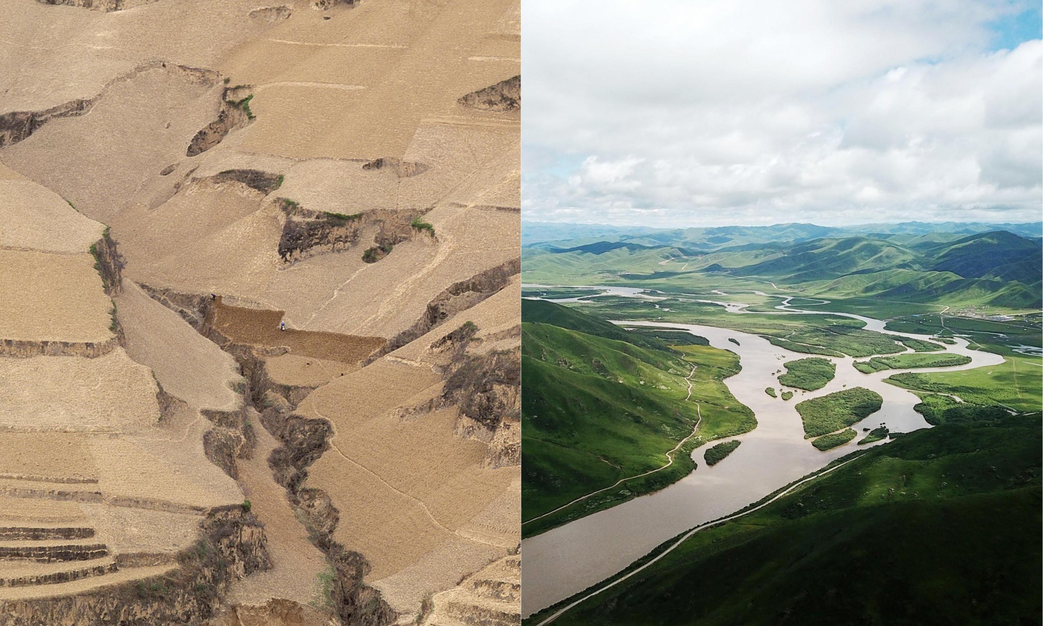 Egypt Reforesting The Desert With Wastewater Flipboard