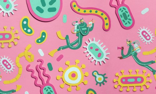 Unlocking the ‘gut microbiome’ – and its massive significance to our health