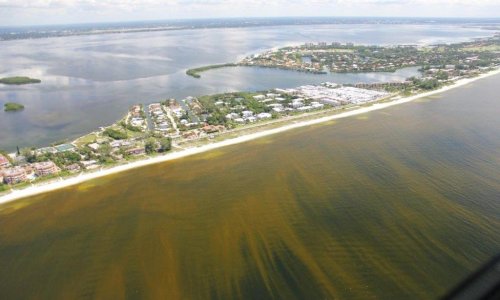 Can citizen scientists turn the tide against America’s toxic algal blooms?