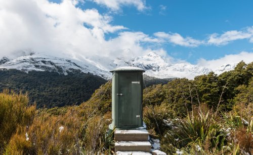 Call to tighten New Zealand law that allows public pooing if no one watching