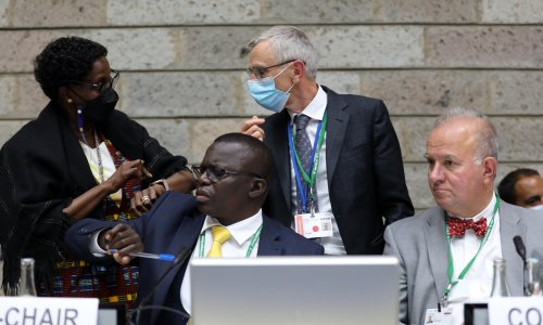 Cop15: lack of political leadership leaves crucial nature summit ‘in peril’, warn NGOs