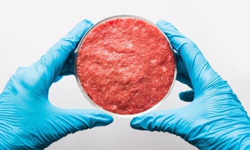 Man v food: is lab-grown meat really going to solve our nasty agriculture problem?