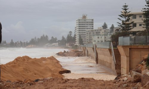 Beachfront homeowners push to extend Collaroy seawall to protect property from erosion