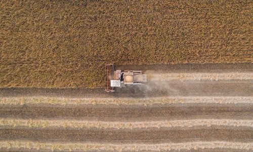 Ukraine farming group warns of ‘cascade of export bans’ without new grain routes