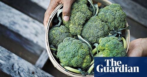How to grow your own broccoli