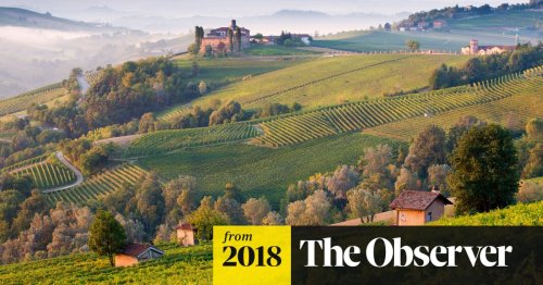 Land of plenty: harvest time in Piedmont, Italy