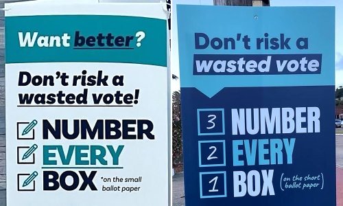 NSW Liberals accuse Climate 200 and teal independent of misleading voters on election corflutes