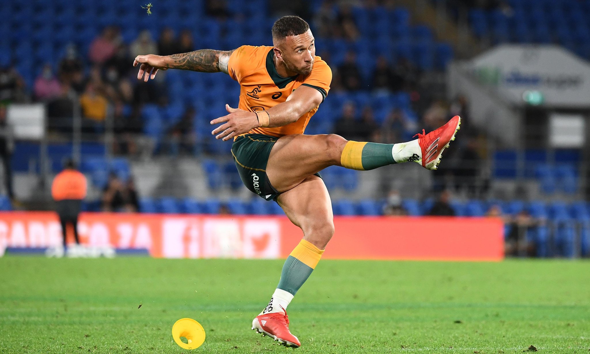 Quade Cooper gamble pays off as Wallabies beat South Africa at their own game | Rugby Championship