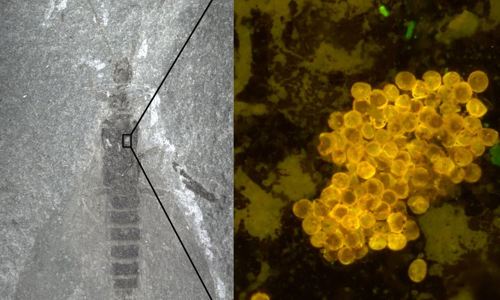 Deep: Time & More Besides - cover