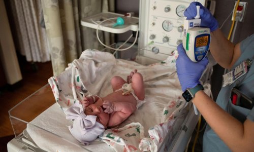 Idaho hospital to stop delivering babies as doctors flee over abortion ban