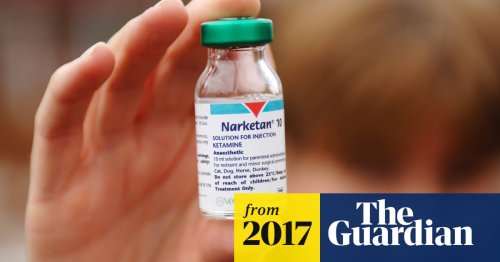 Radical ketamine therapy could treat alcohol addiction