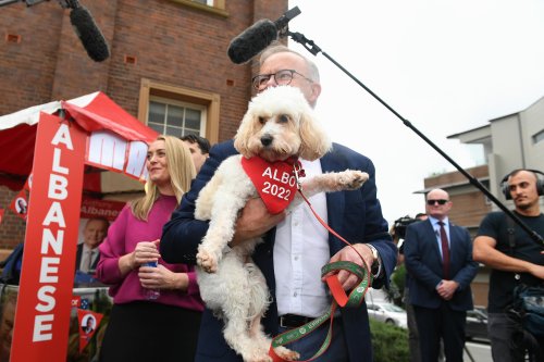 From Jenny Morrison’s intriguing fashion choice to Toto the first dog: 10 lighter election moments