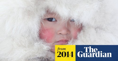 Traditional life in the Siberian Arctic - in pictures