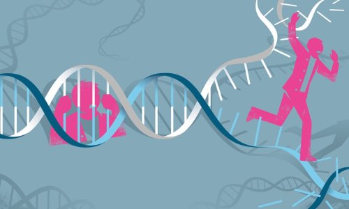 Do your genes determine your entire life?