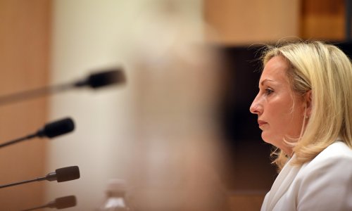 Christine Holgate engages leading lawyers over Australia ...
