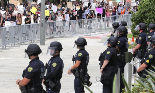 What does 'defund the police' mean? The rallying cry sweeping the US – explained