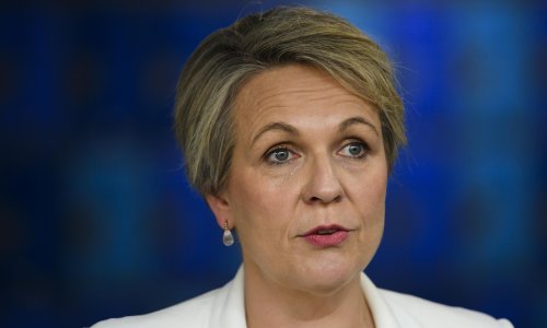 Tanya Plibersek apologises ‘unreservedly’ for comparing Peter Dutton to Voldemort