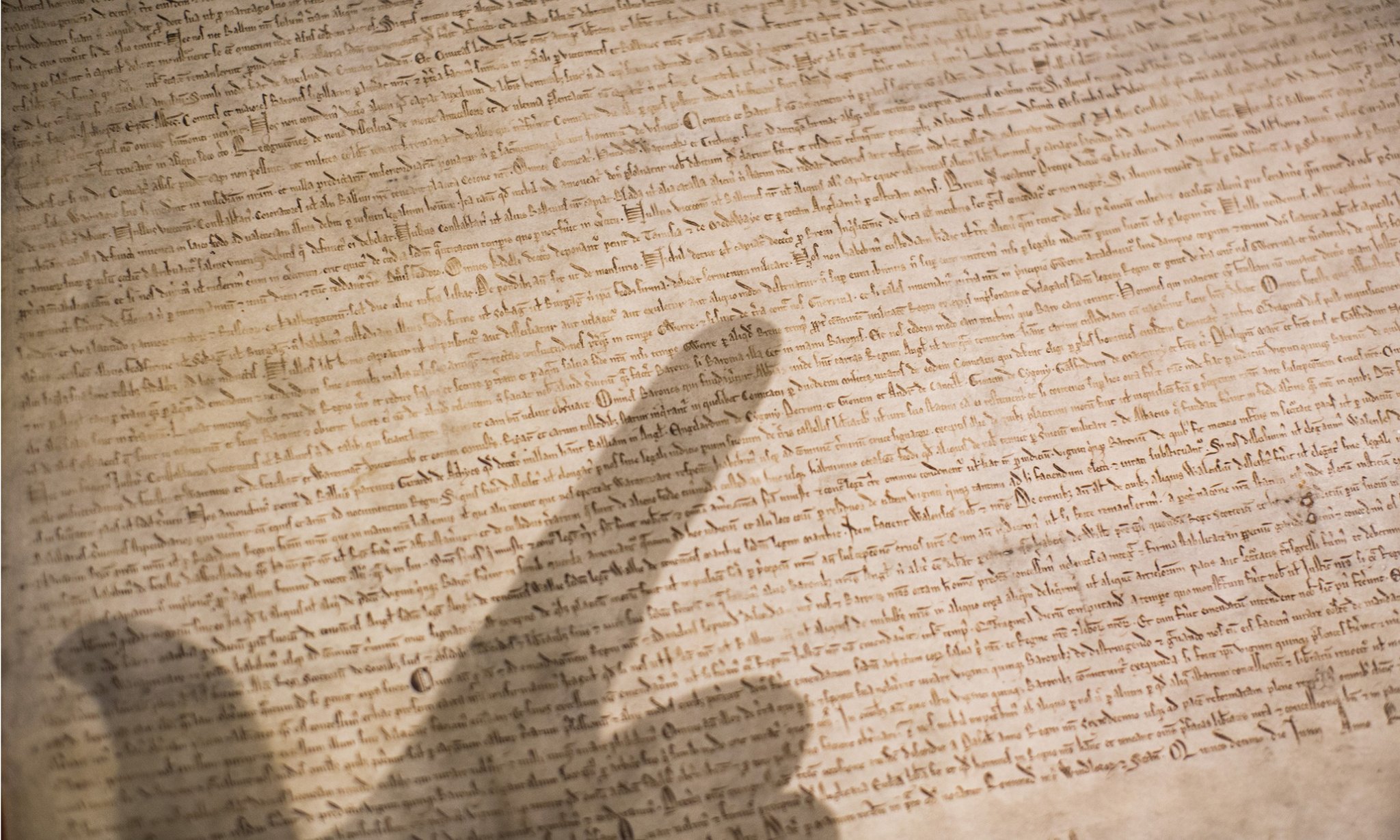 Magna Carta 800th Anniversary cover image