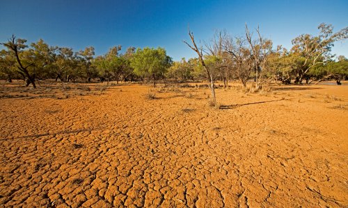UN warns heat records could be broken as chance of El Niño rises